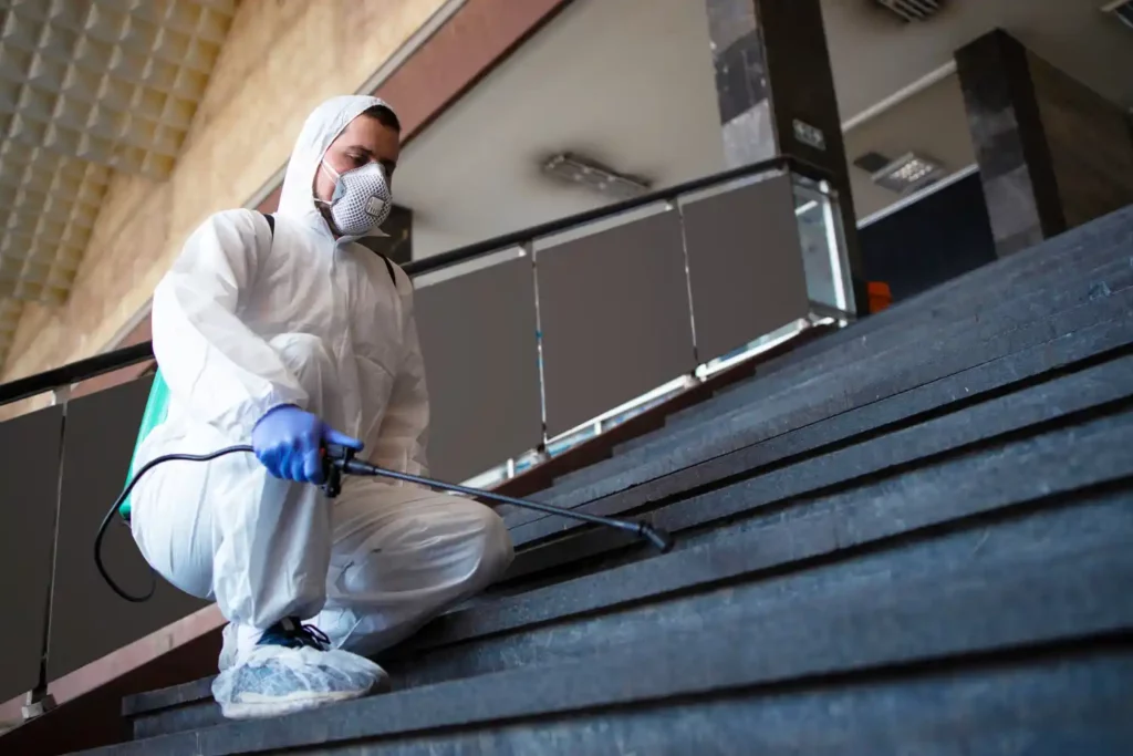 Service professionnel de désinfection après sinistre efficace