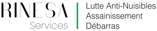 Logo complet 2 Rinesa Services