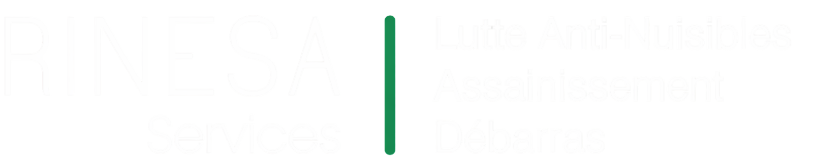 Logo complet 3 Rinesa Services