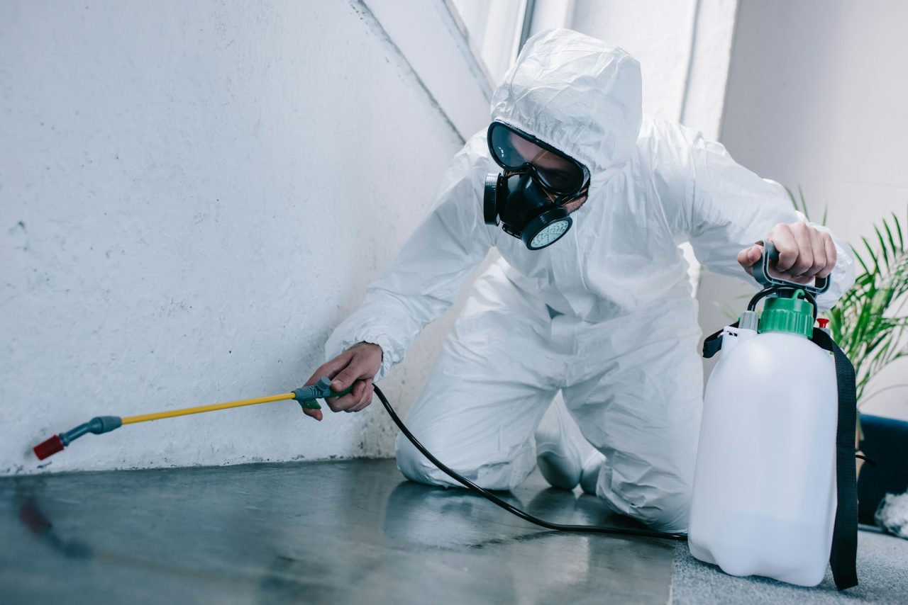 pest-control-worker-spraying-pesticides-on-floor-at-home