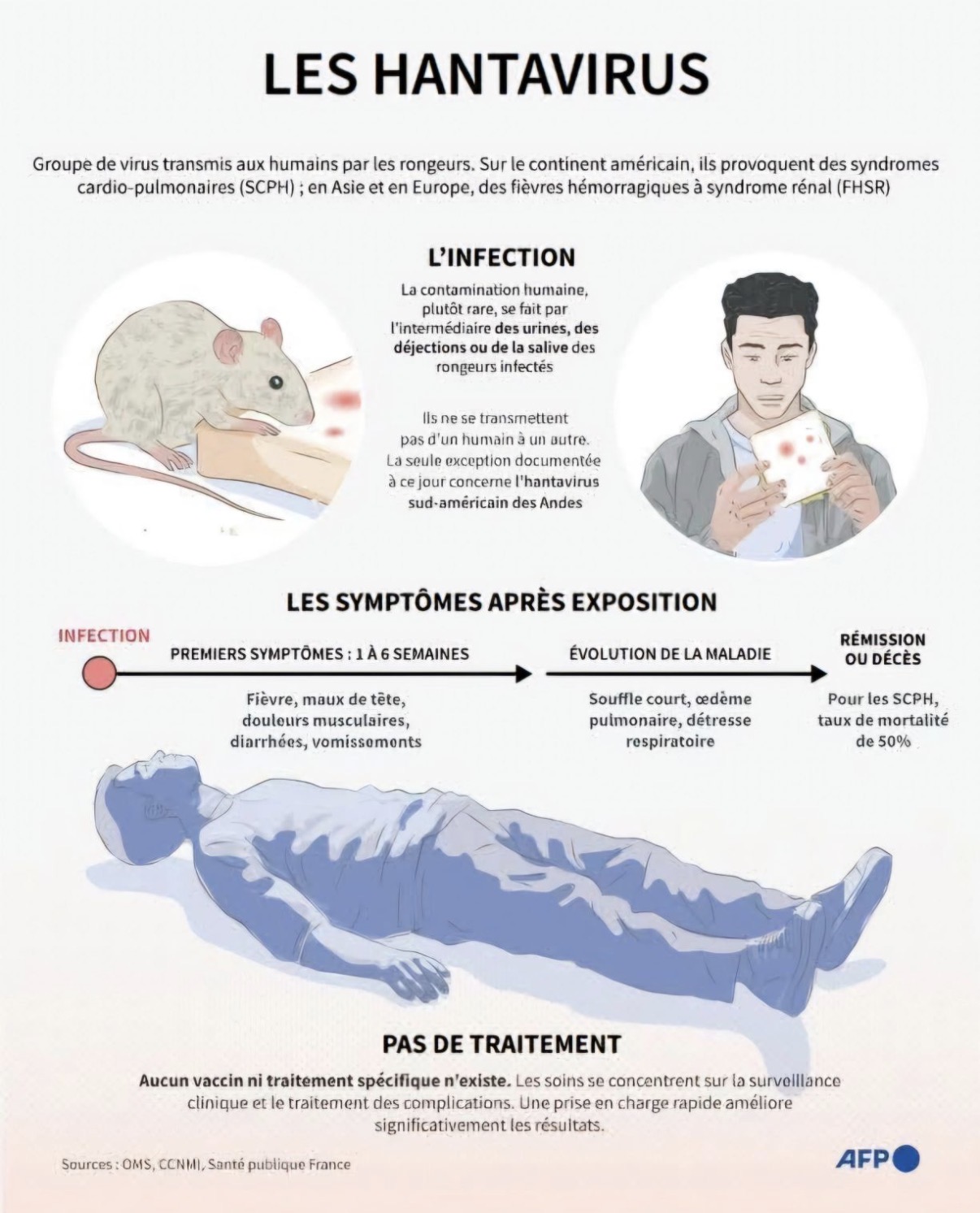 Schéma illustrant la transmission de l’antavirus à l’homme par contact avec des rongeurs contaminés, leurs excréments, leur urine ou leur salive.